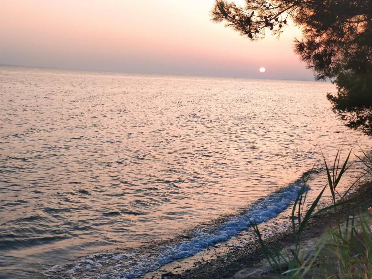 Para Thin Alos Inn Neos Marmaras Bagian luar foto